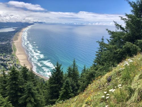 A panoramic view of a coastline with sandy beaches, ocean waves, and lush green trees under a blue sky.