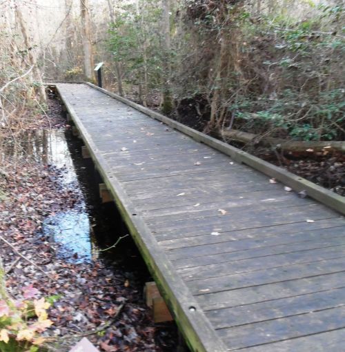 A wooden boardwalk stretches through a wooded area, surrounded by trees and water on either side.