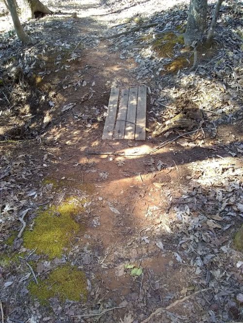 A small wooden bridge over a dirt path surrounded by leaves and moss in a wooded area.