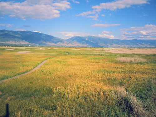 A scenic view of golden grasslands with mountains in the background under a blue sky with scattered clouds.