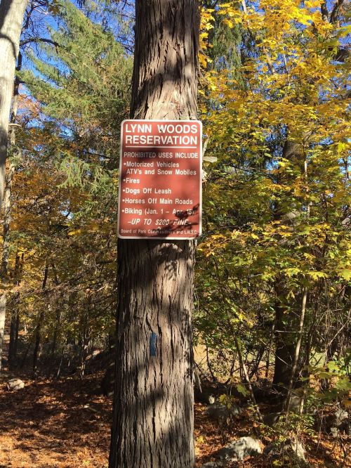 Sign on a tree at Lynn Woods Reservation listing prohibited activities, including motorized vehicles and off-leash dogs.