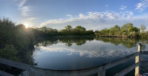 A serene pond reflects trees and clouds under a clear blue sky, with a wooden railing in the foreground.