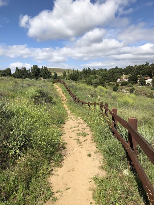 A dirt path lined with a wooden fence, surrounded by green grass and wildflowers under a partly cloudy sky.
