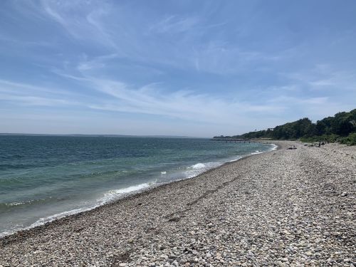 A rocky beach with gentle waves, under a clear blue sky and lush green trees in the background.