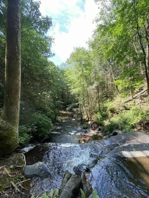 A serene forest scene with a flowing stream and people enjoying the water among lush green trees.