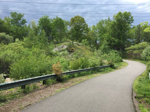 A winding path through lush greenery, with trees and shrubs lining the sides under a cloudy sky.