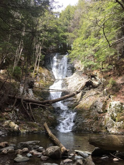 A serene waterfall cascades down rocky terrain, surrounded by lush green trees and a calm stream below.