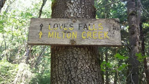 Wooden sign on a tree pointing to Loves Falls and Milton Creek in a forested area.