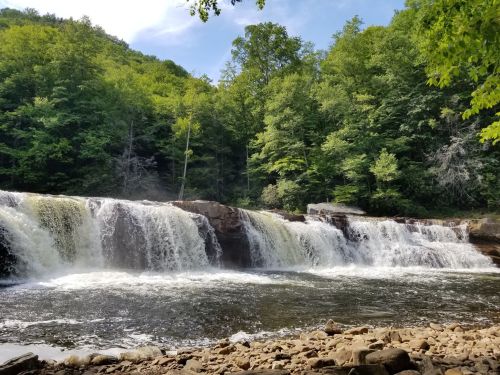 A serene waterfall cascades over rocks, surrounded by lush green trees under a clear blue sky.