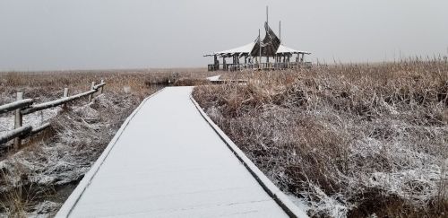 A snowy boardwalk leads to a gazebo surrounded by tall grasses in a winter landscape.