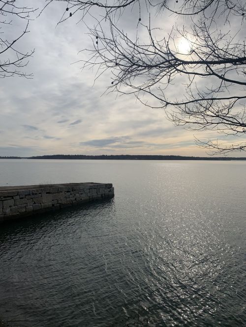 A serene view of a calm lake with a stone pier, framed by bare branches and a cloudy sky.