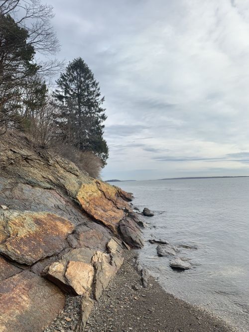Rocky shoreline with trees and calm water under a cloudy sky.