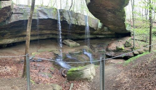 A serene forest scene featuring a rocky overhang with water cascading down into a small pool surrounded by greenery.