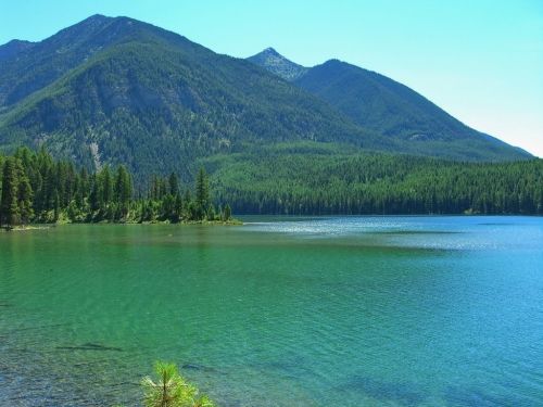 A serene lake surrounded by lush green forests and mountains under a clear blue sky.