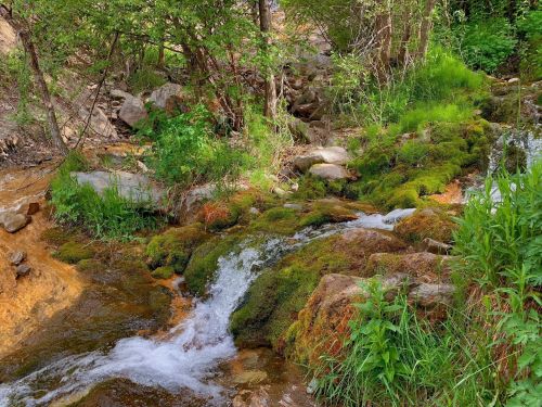 A serene stream flows over moss-covered rocks, surrounded by lush greenery and trees in a peaceful natural setting.