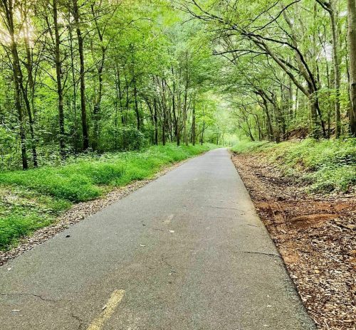 A serene, tree-lined path stretches into the distance, surrounded by lush greenery and dappled sunlight.