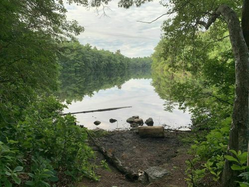 A serene lake surrounded by lush greenery, reflecting the sky and trees, with a small log and rocks in the foreground.