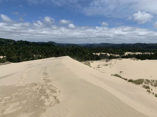 A sandy dune landscape under a cloudy sky, with lush green trees and distant hills in the background.