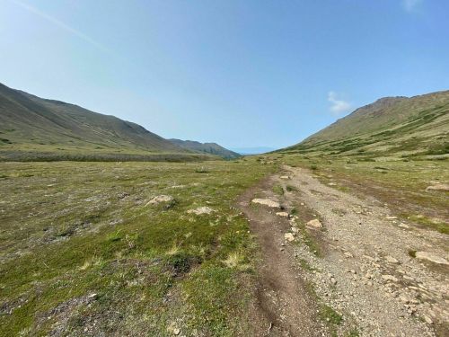 A wide, grassy valley with a dirt path leading towards distant mountains and a clear blue sky.