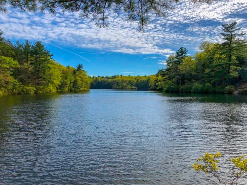A serene lake surrounded by lush green trees under a blue sky with scattered clouds.