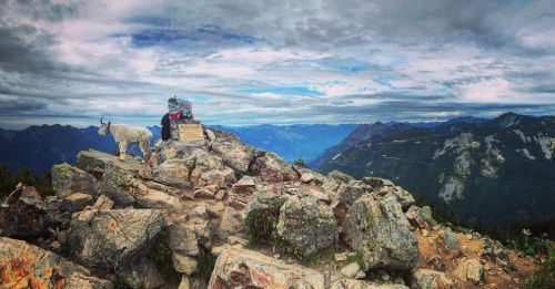 A person stands on a rocky mountain peak beside a goat, with a scenic view of mountains and cloudy sky in the background.