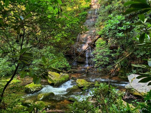 A serene forest scene featuring a small waterfall cascading over rocks into a flowing stream, surrounded by lush greenery.