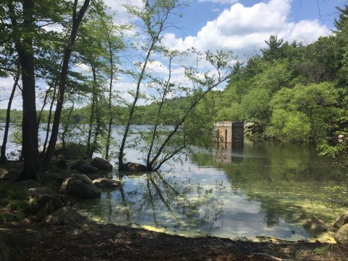 A serene lakeside scene with trees, rocks, and a concrete structure reflected in calm water under a partly cloudy sky.