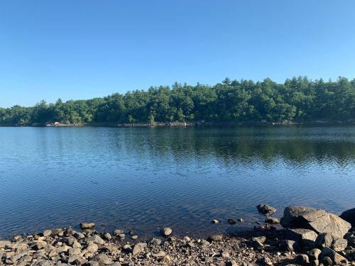 A calm lake surrounded by lush green trees under a clear blue sky, with rocky shoreline in the foreground.