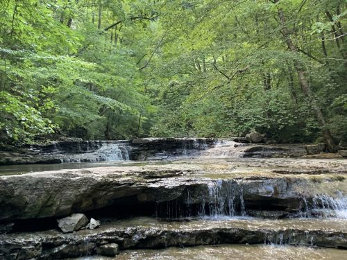 A serene forest scene featuring a gentle waterfall cascading over rocky ledges, surrounded by lush green trees.