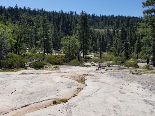 A rocky landscape with scattered trees and people walking in a lush, green forest under a clear blue sky.
