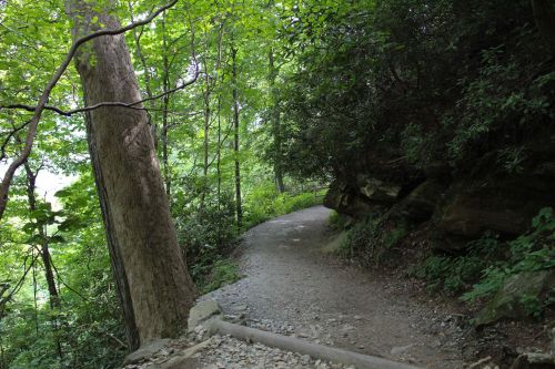 A winding gravel path through a lush green forest, flanked by trees and rocky outcrops.
