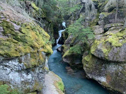 A serene river flows through moss-covered rocks and lush greenery in a narrow canyon.