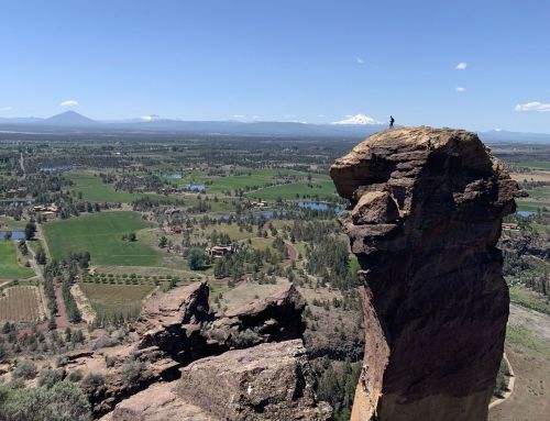 A person stands on a rocky outcrop overlooking a vast landscape of fields, trees, and distant mountains under a clear blue sky.