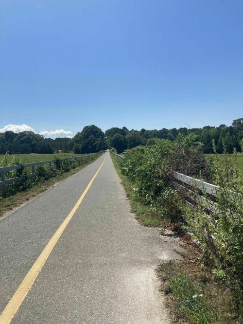 A long, straight path lined with greenery under a clear blue sky, leading into the distance.