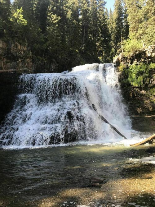 A cascading waterfall surrounded by lush green trees and rocky terrain, creating a serene natural scene.
