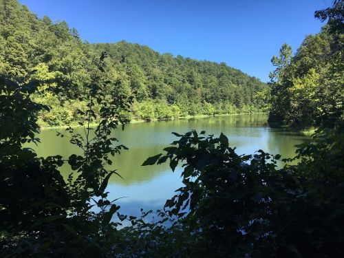A serene lake surrounded by lush green trees under a clear blue sky.