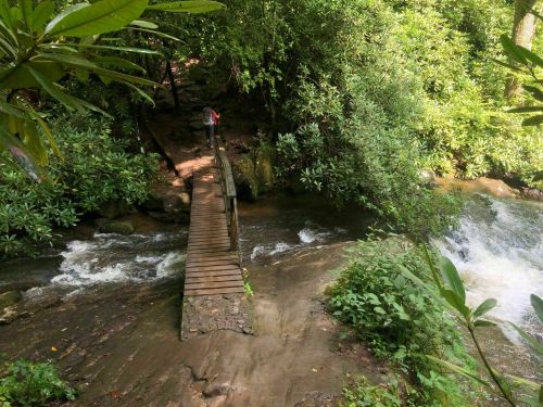 A wooden bridge crosses a stream surrounded by lush greenery and trees in a serene natural setting.