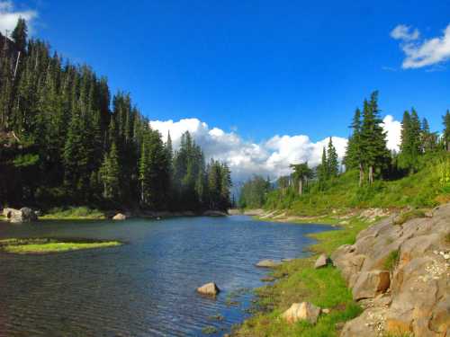 A serene lake surrounded by lush green trees and rocky shores under a bright blue sky with fluffy white clouds.