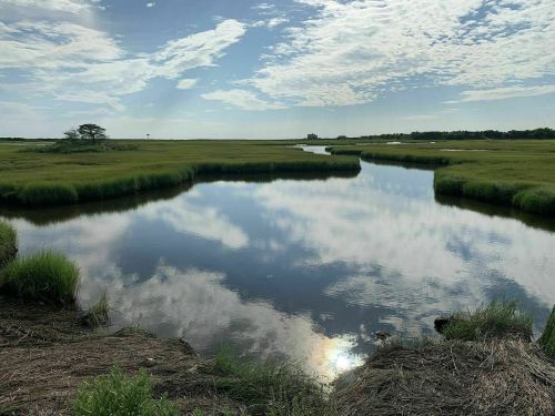 A serene marsh landscape with a winding river reflecting clouds and greenery under a blue sky.