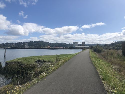 A scenic pathway along a waterfront with greenery, under a blue sky with clouds and distant buildings.