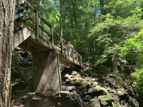 A wooden bridge spans a rocky stream in a lush green forest, with two people standing on it.