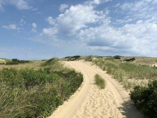 A sandy path winds through grassy dunes under a blue sky with scattered clouds.