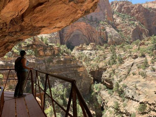 A person stands on a metal platform overlooking a canyon with steep rock formations and greenery.