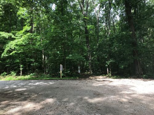 A gravel path leads into a dense, green forest with tall trees and sunlight filtering through the leaves.