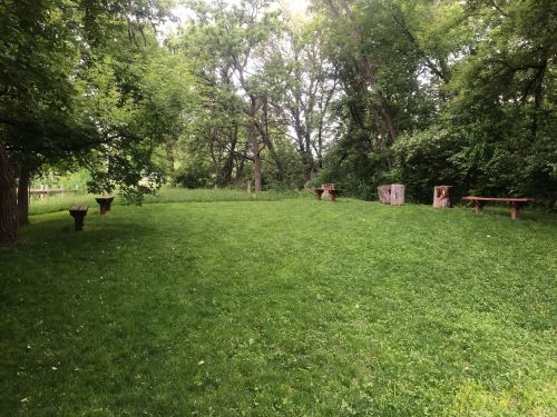 A grassy area surrounded by trees, featuring wooden benches and tables for seating.