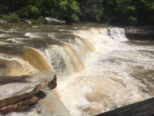 A cascading waterfall flows over rocky ledges, surrounded by lush green trees in a serene natural setting.