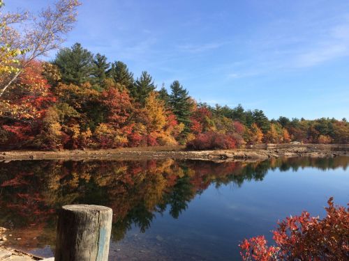 A serene lake reflects vibrant autumn foliage and clear blue skies, surrounded by trees in shades of red, orange, and green.