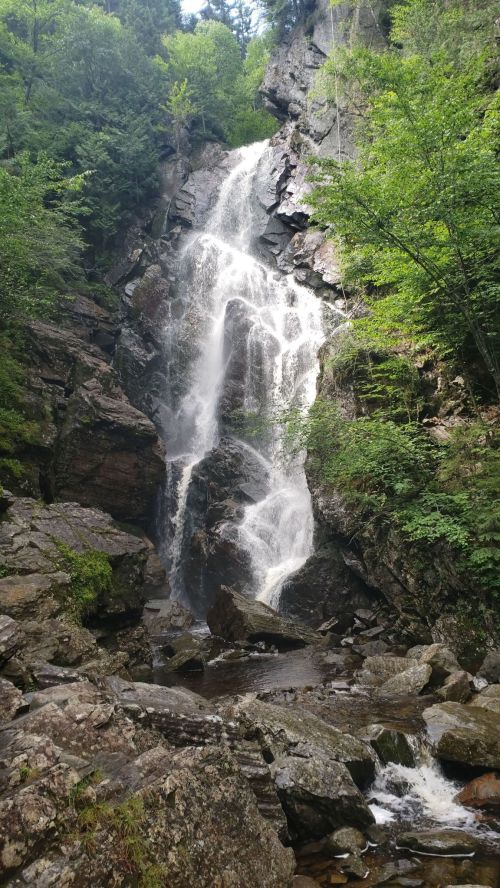 A cascading waterfall flows down rocky cliffs, surrounded by lush green trees and foliage.