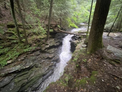A serene waterfall cascades through a rocky gorge, surrounded by lush green trees and foliage.