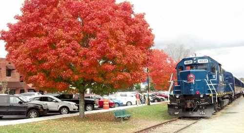 A blue train parked beside a vibrant red maple tree, with cars and people in the background on a cloudy day.